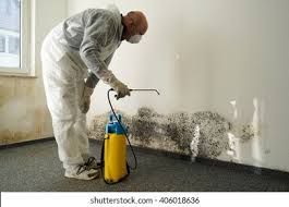 Best Emergency Mold Remediation  in USA